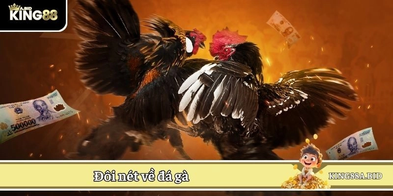 Đôi nét về đá gà