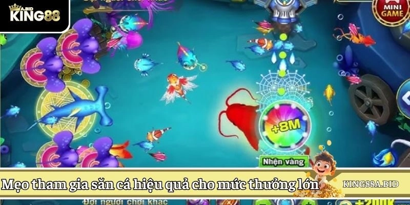 Mẹo tham gia săn cá hiệu quả cho mức thưởng lớn